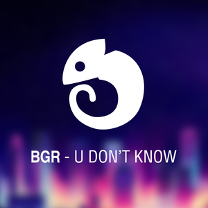 U Don't Know