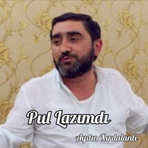 Pul Lazımdı