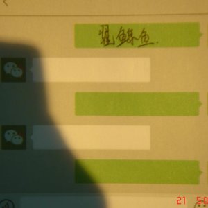 想说却还没说的