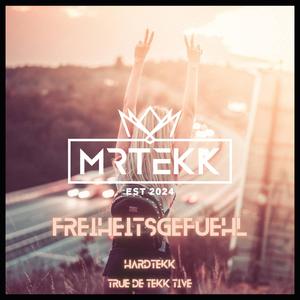 Freiheitsgefühl (feat. TEKKISLOVE) (Hardtekk)
