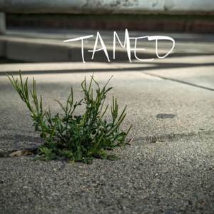 Tamed