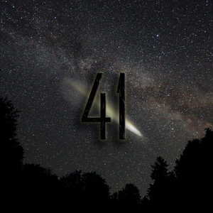 41