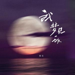 我梦见的