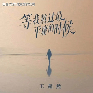 等我熬过最平庸的时候 (DJ彭锐版)