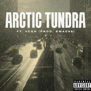 Arctic Tundra