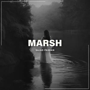 Marsh