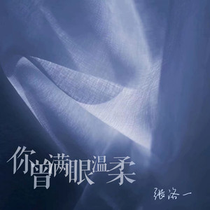 你曾满眼温柔 (DJ版)
