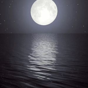 ‘Moon Light'