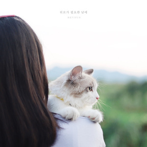 위로가 필요한 날에