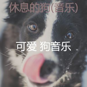 简单化(宠物午睡)