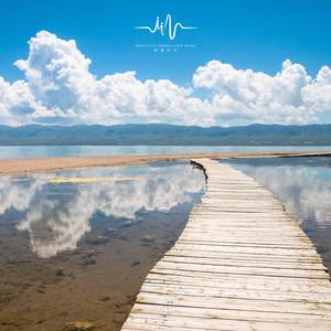 花开浅夏 (修心古琴曲)