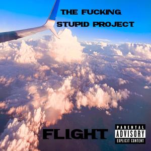 Flight