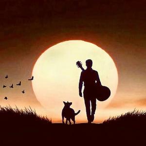 多爱如灯一满再