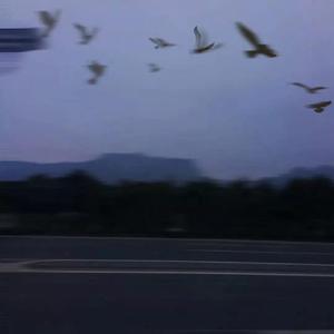 ハレハレヤ（郎朗晴天）