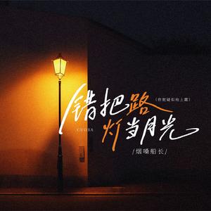 错把路灯当月光(你就疑似地上霜)