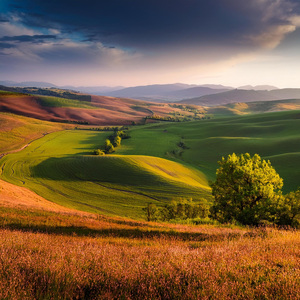 Textura Sonora Calmante