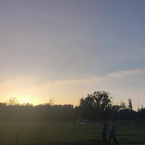 刘若英-为爱痴狂（Cover ShadowYunG杨贤都 ）