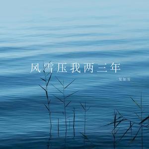 风雪压我两三年