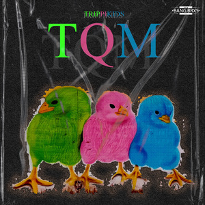 T.Q.M