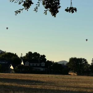 Frown Lines and Growing Pains