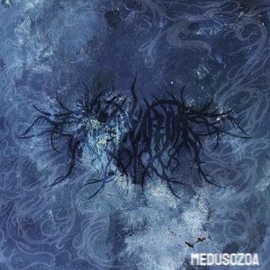 Medusozoa's beat in E minor 135bpm