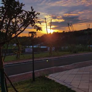 Religion Kills-兄弟们