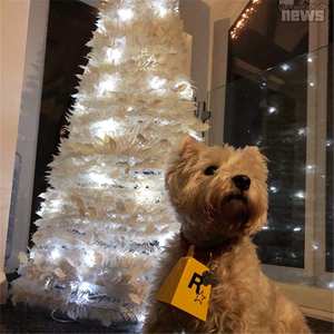 Jingle Bell Rock (SPACE RGMIX)