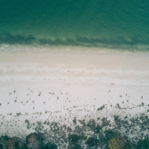 涉川（Cover 不才）