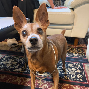 ありがとう…友よ