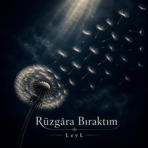 Rüzgâra Bıraktım