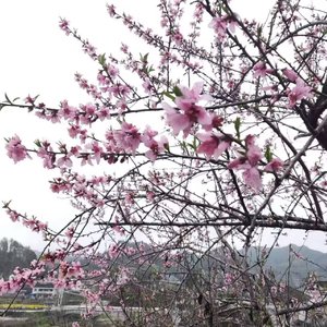 天官赐福