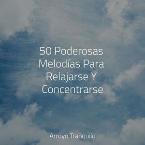 Corrientes Torrenciales