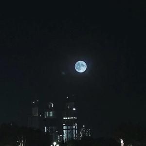 再也不会有人会比我更爱你