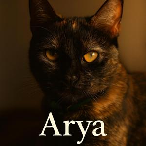 Arya