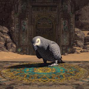 Acid Maranjab Flow