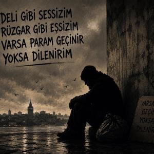 Deli Gibi Sessim