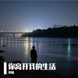 你离开我的生活
