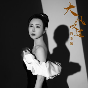 大风吹过 (DJ默涵版)