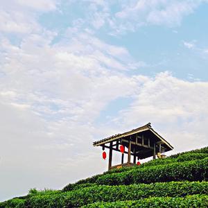 老师，我们爱你