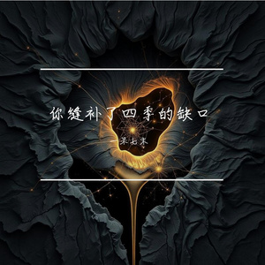 你缝补了四季的缺口