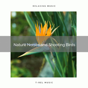 Get Total Relax with Unique Nature Tunes pt. 2