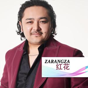 Zarangza(红花)