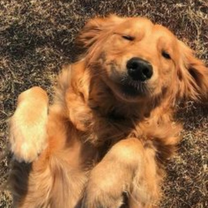 #proudcatownerremix (sped up)