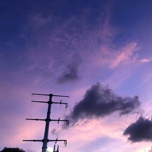 虚假的剧本（Vocal)