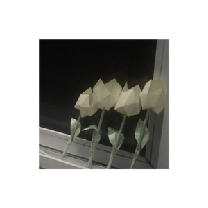 游乐场里什么都有