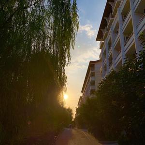 你问我答（prod.梓山）