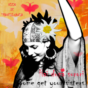 Hai după surori (Come get your sisters) (Extended mix)