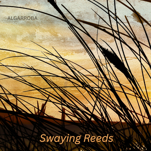 Swaying Reeds