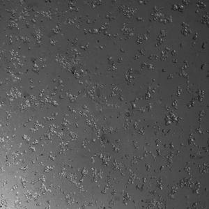 Dark Sea, The Abyss