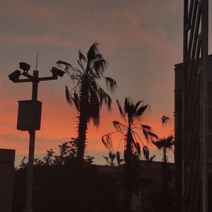 不是因为天气晴朗才爱你